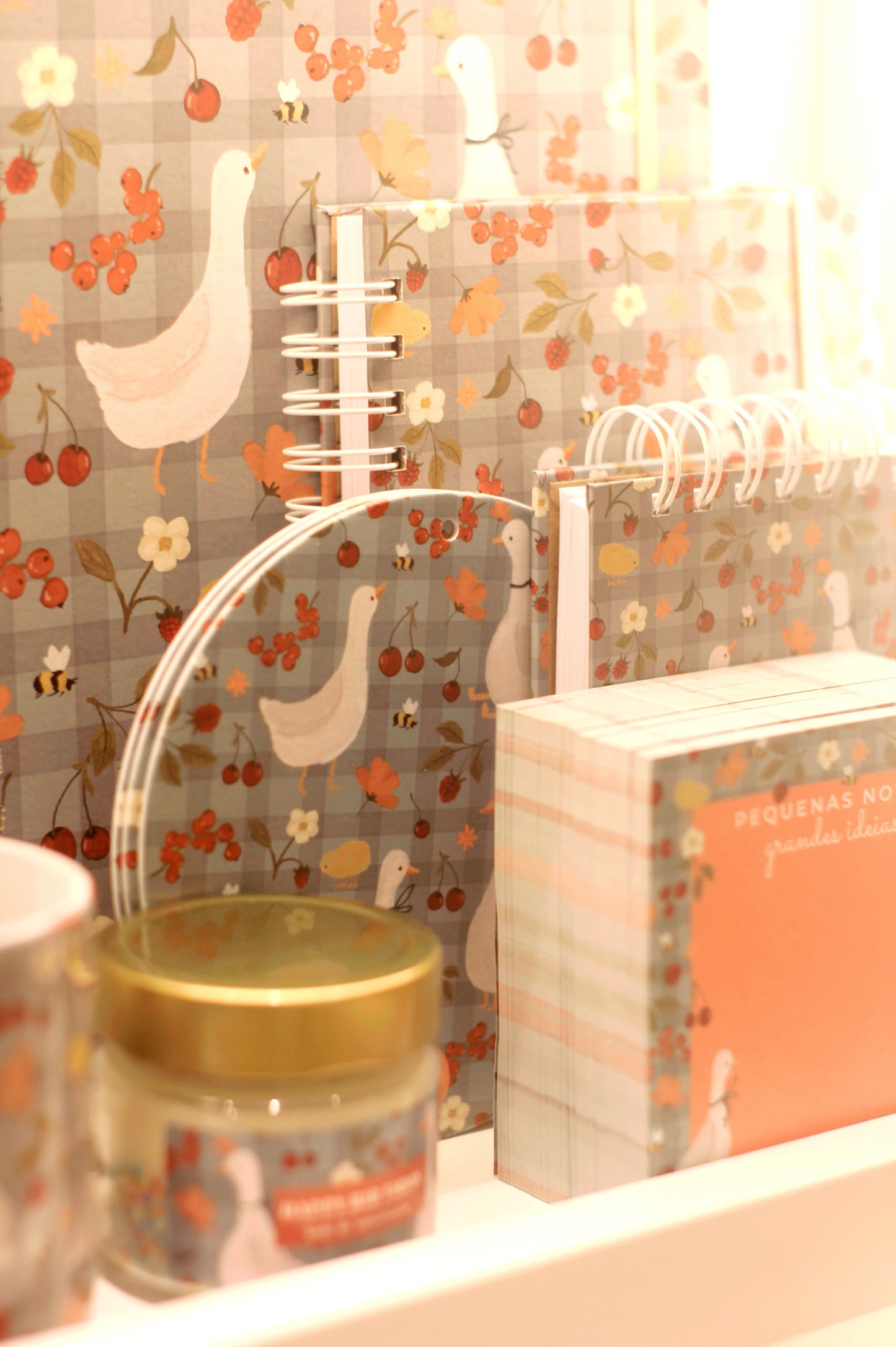 Vira-mate | Passeio dos Gansos