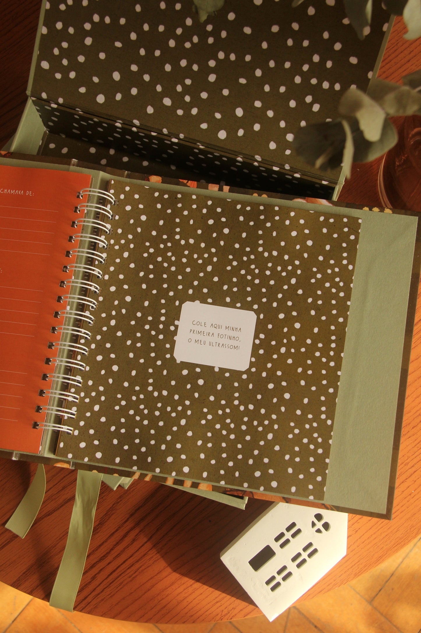 Livro do Bebê | Bosque