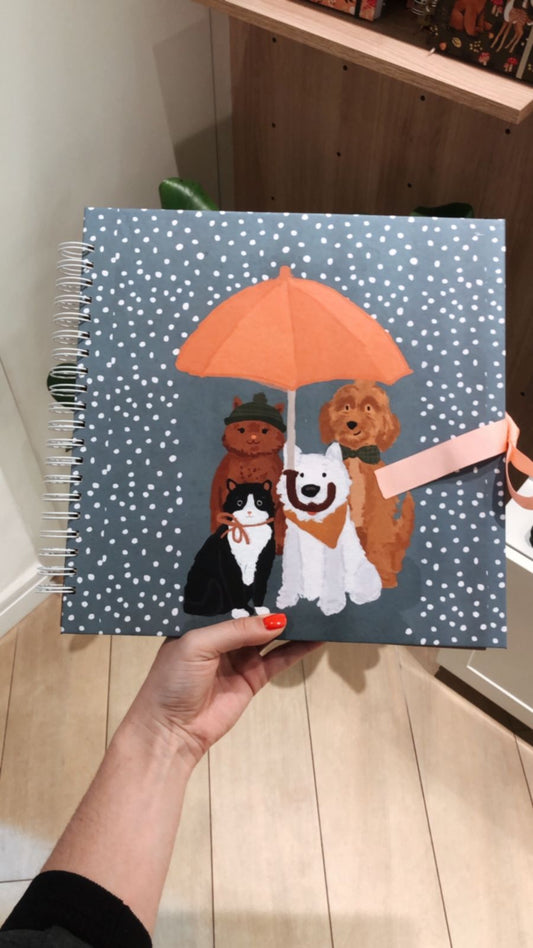 Scrapbook - Álbum de Fotos Pets na Chuva