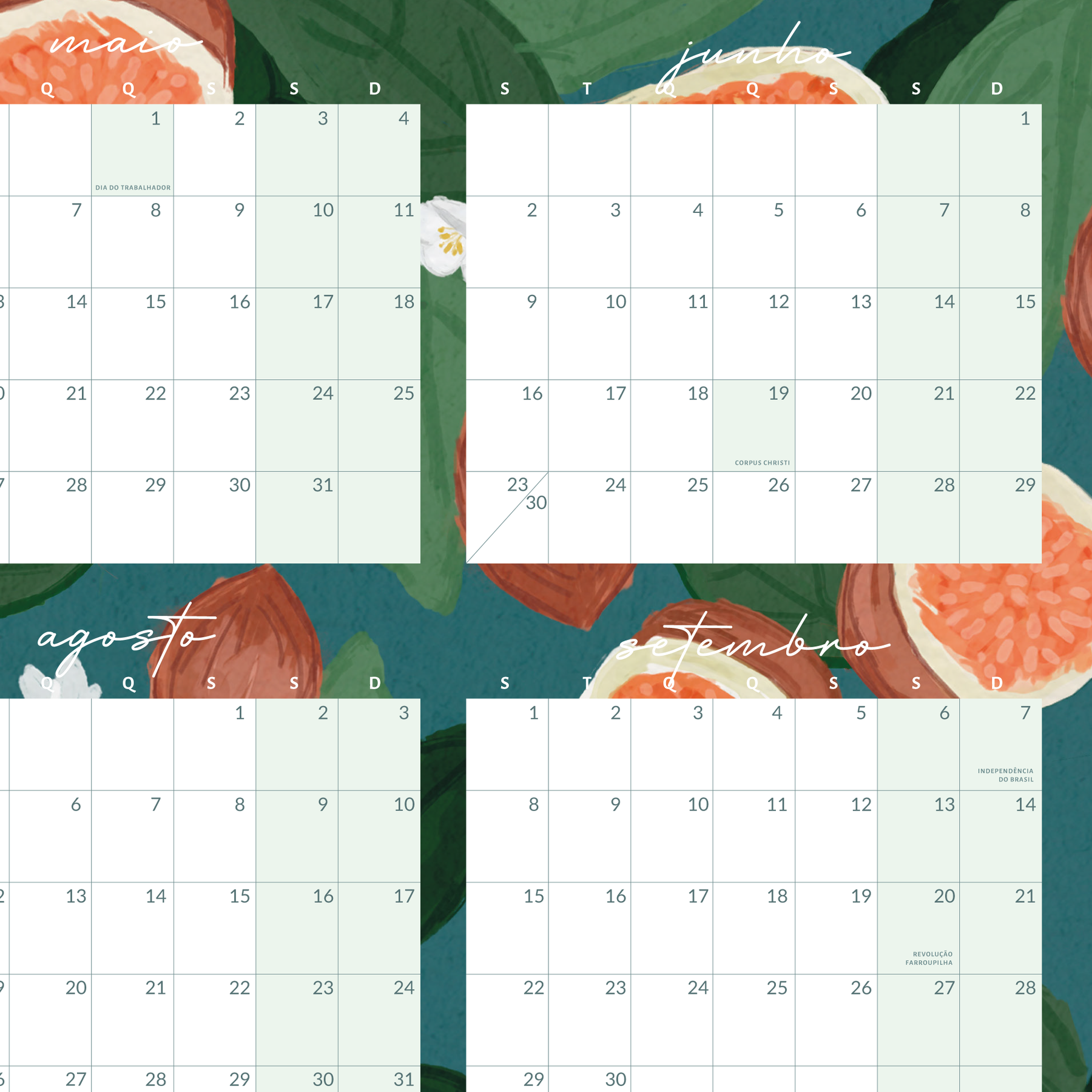 Calendário de Parede | Figo Silvestre