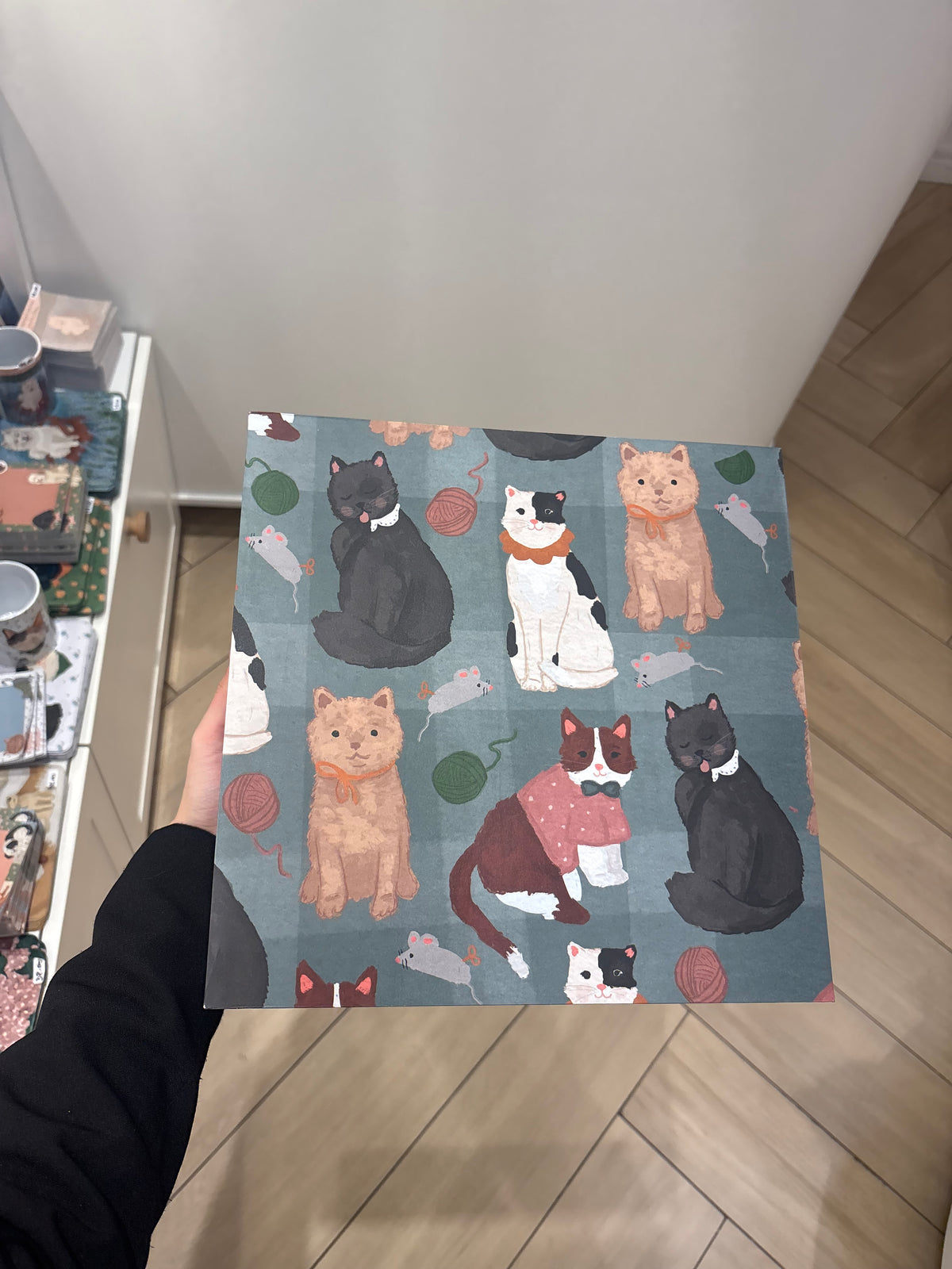 Caixa Quadrada Grande - 30cm | Gato fofo