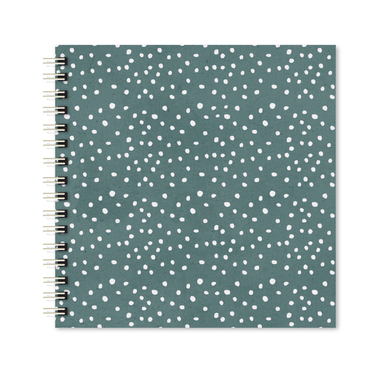 Scrapbook - Álbum de Fotos Poá azul pets