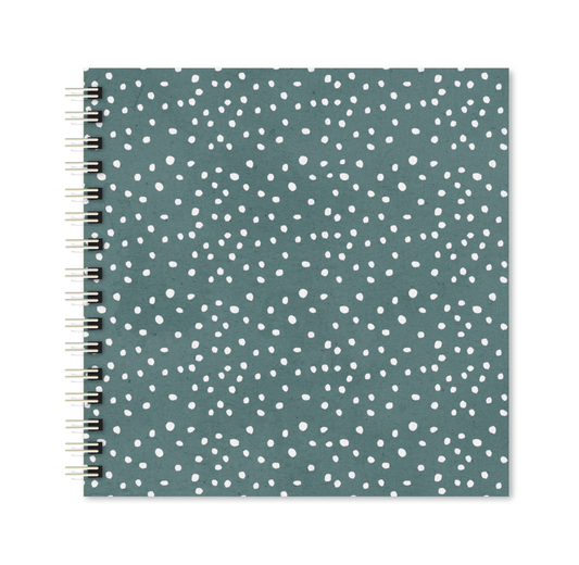 Scrapbook - Álbum de Fotos Poá azul pets