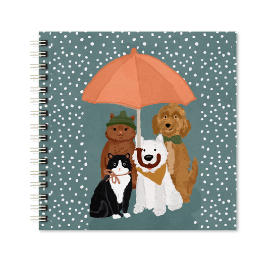 Scrapbook - Álbum de Fotos Pets na Chuva