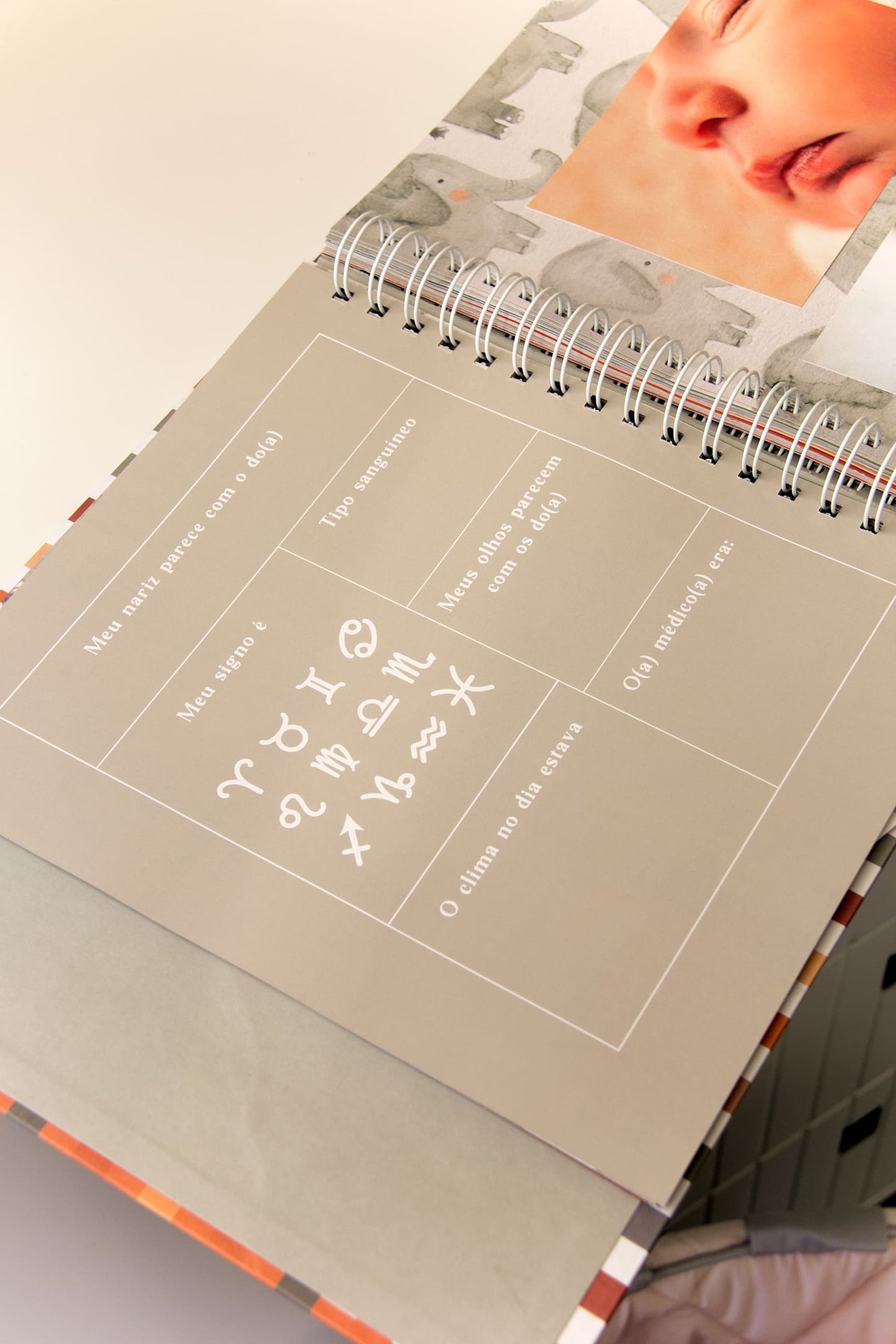 {Receba em fevereiro/2026} Livro do Bebê | Xadrez