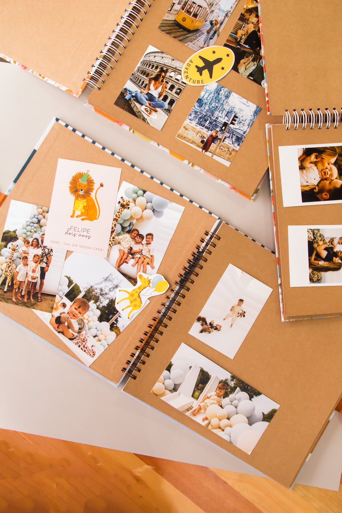 Scrapbook - Álbum de Fotos Hortênsias