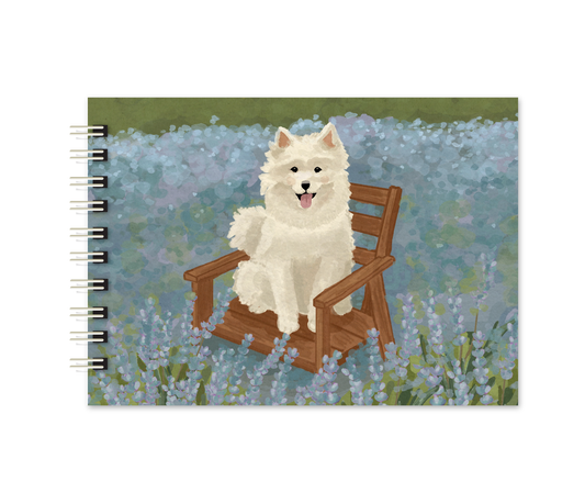 Scrapbookinho | Jardim da cAUmaria
