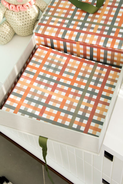 {Receba em fevereiro/2026} Livro do Bebê | Xadrez