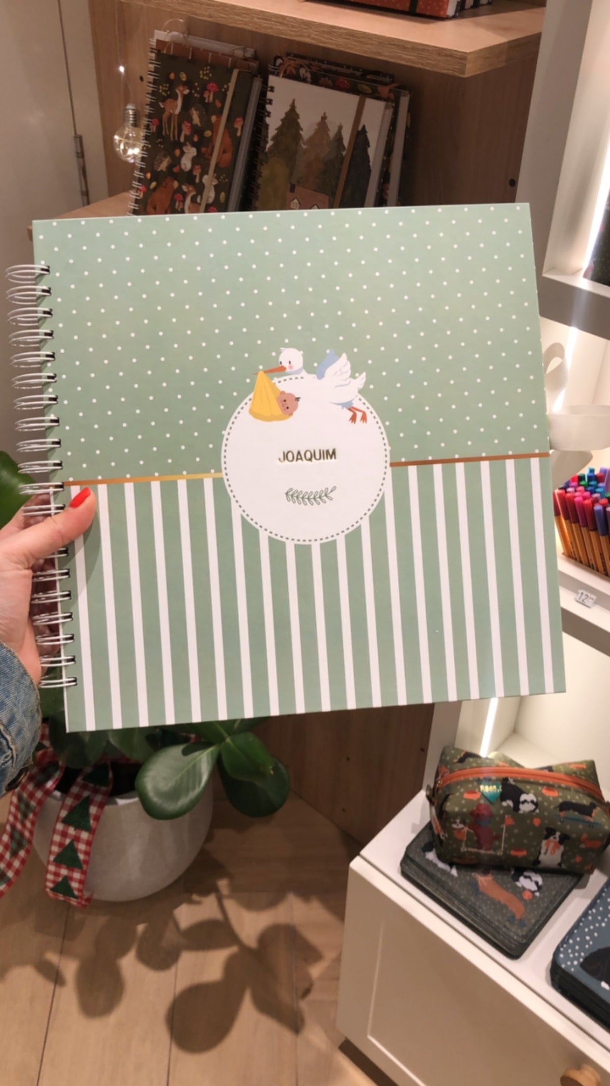 Scrapbook - Álbum de Fotos Baby Cegonha