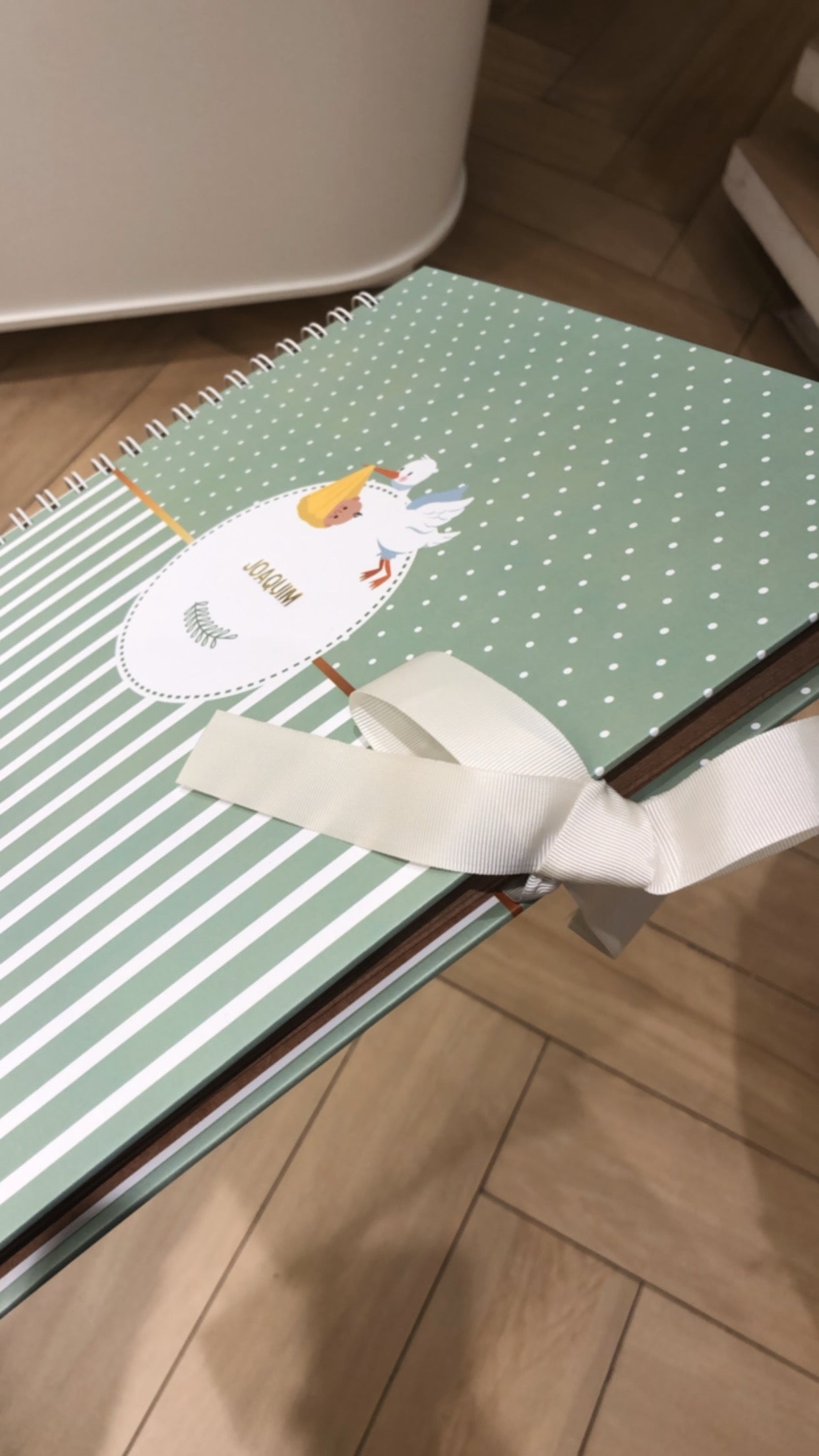 Scrapbook - Álbum de Fotos Baby Cegonha