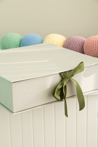 {Receba em fevereiro/2026} Livro do Bebê | Xadrez