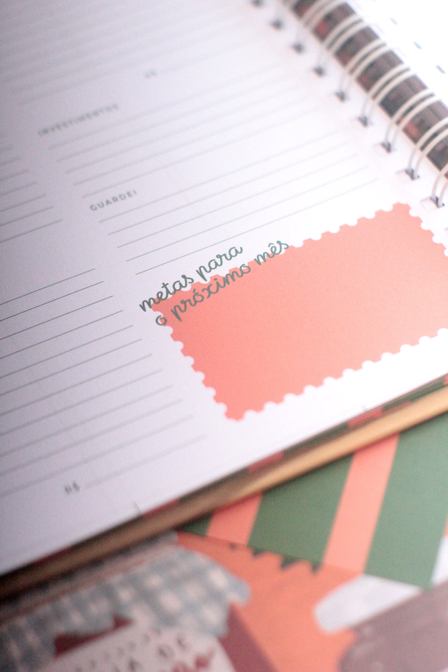 [PRÉ-VENDA] Planner 2026 não-datado | Hortênsias e Ronron