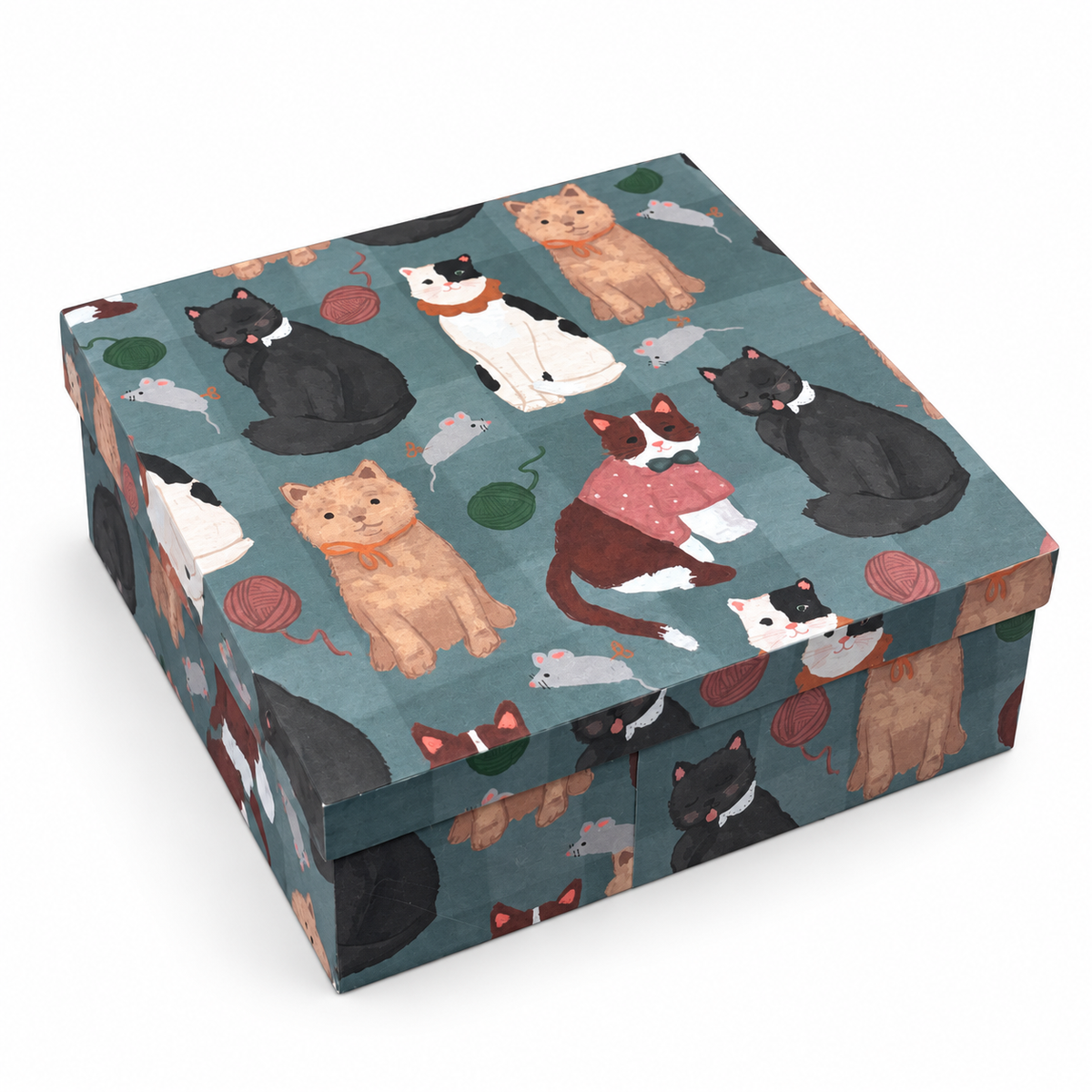 Caixa Quadrada Grande - 30cm | Gato fofo