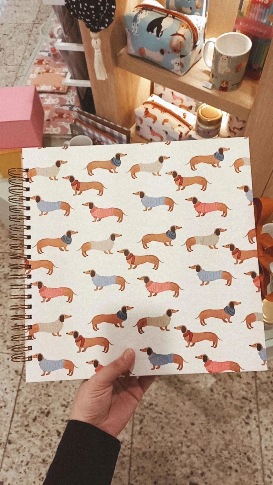 Scrapbook - Álbum de Fotos HotDOG