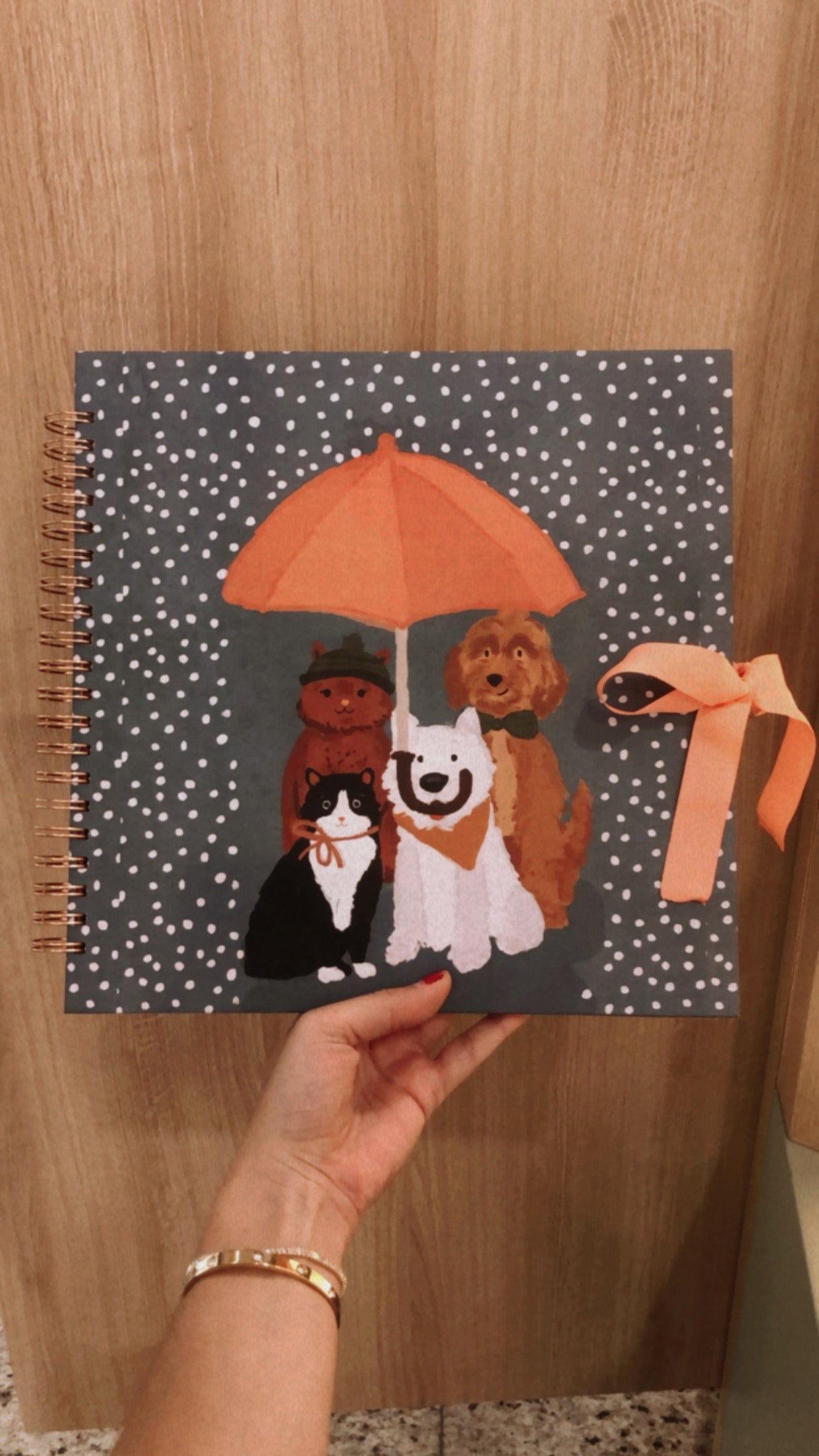 Scrapbook - Álbum de Fotos Pets na Chuva