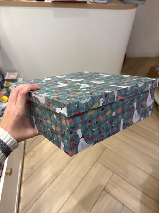Caixa Quadrada Grande - 30cm | Passeio dos gansos