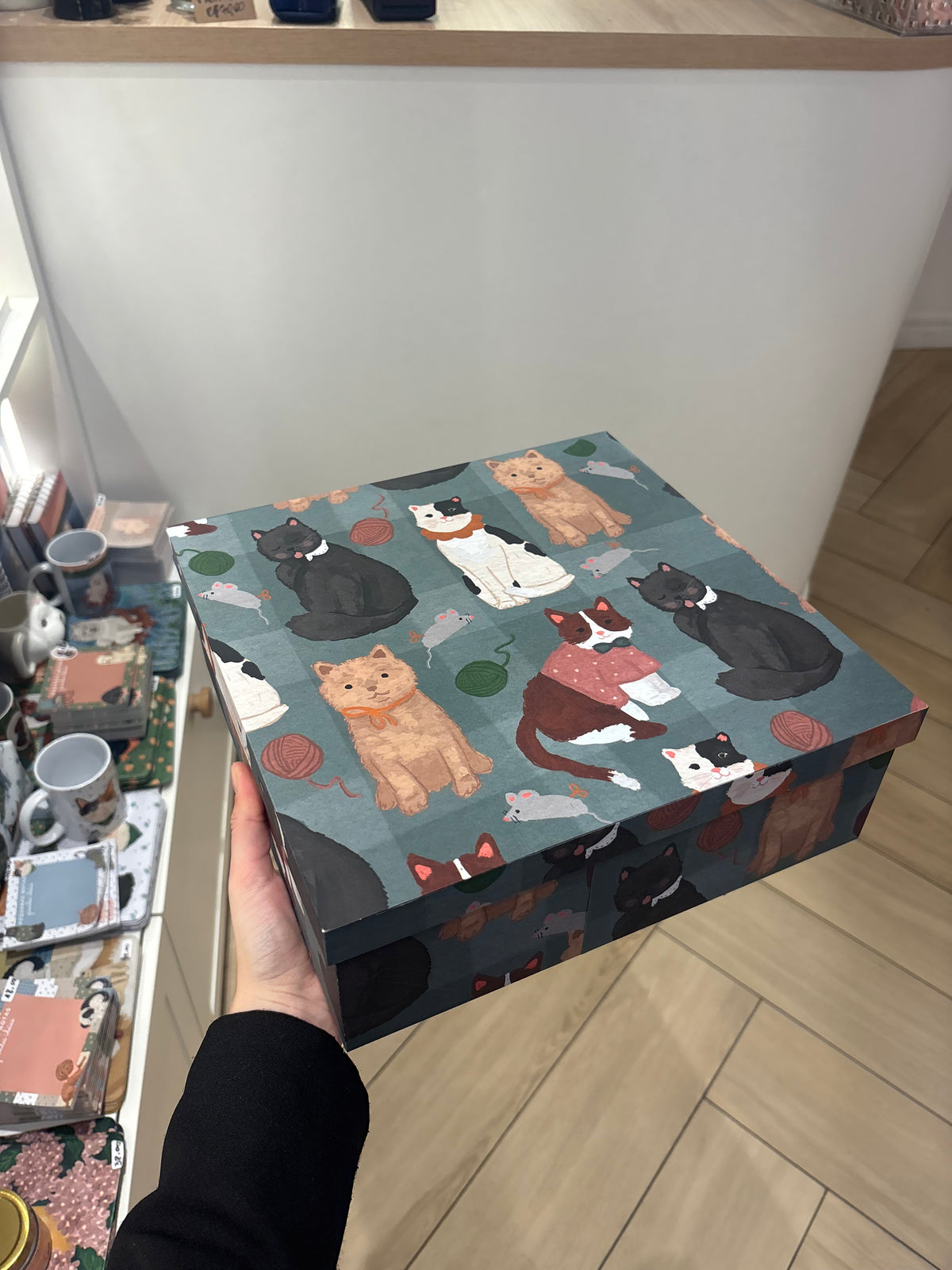 Caixa Quadrada Grande - 30cm | Gato fofo
