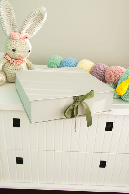 {Receba em fevereiro/2026} Livro do Bebê | Xadrez