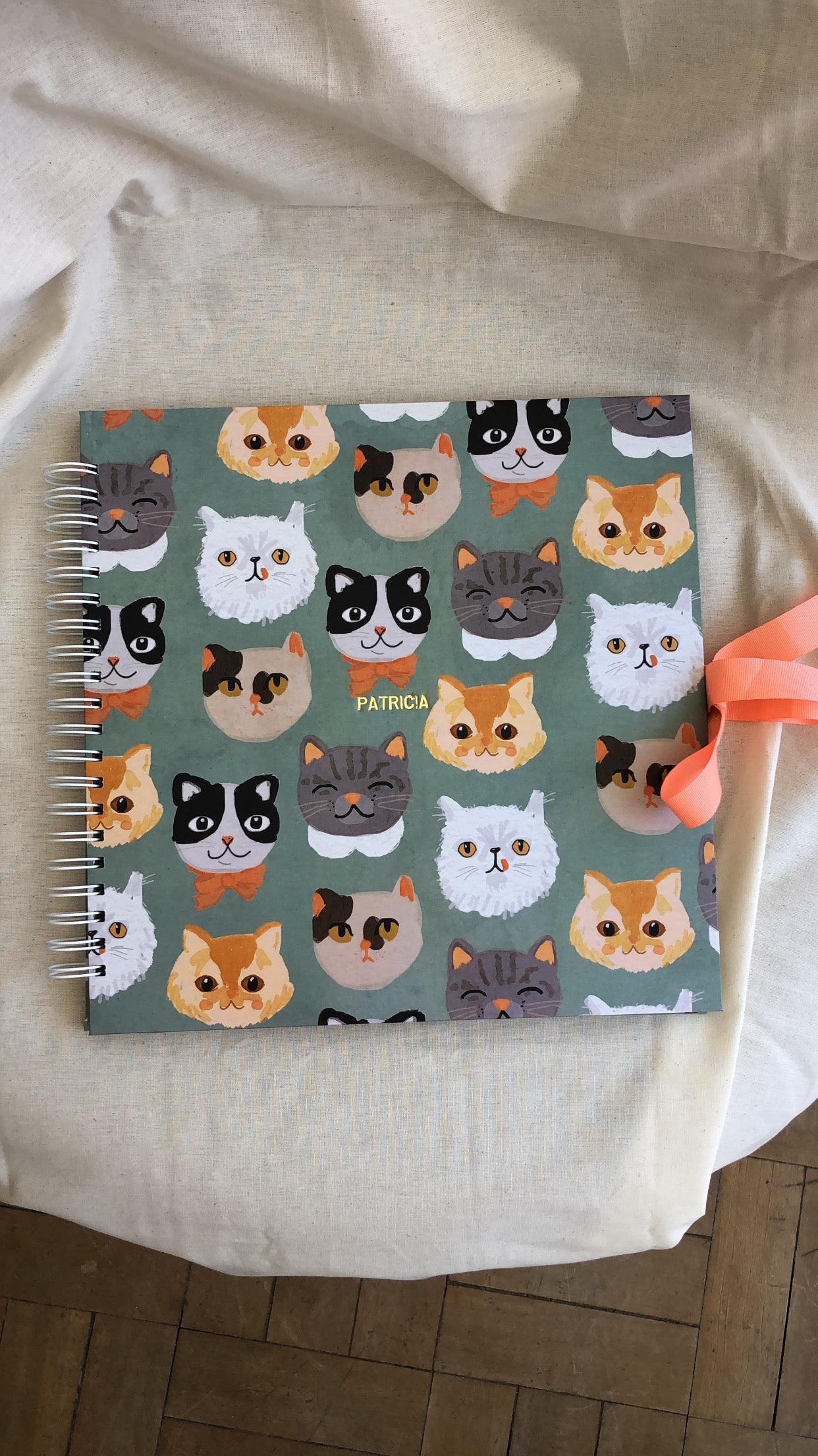 Scrapbook - Álbum de Fotos Carinhas de Gato