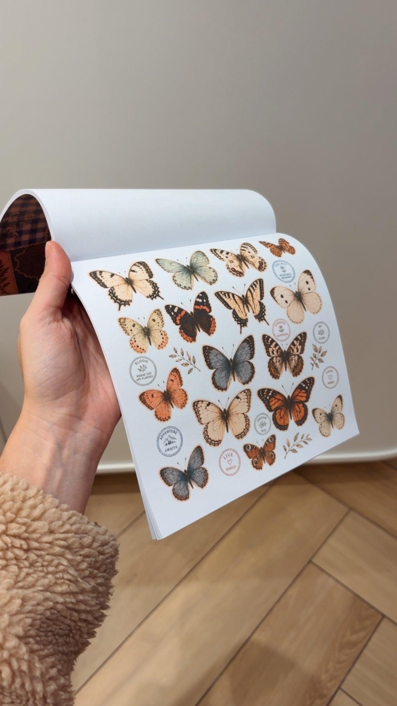 CUT OUT BOOK - Livro de Recortes