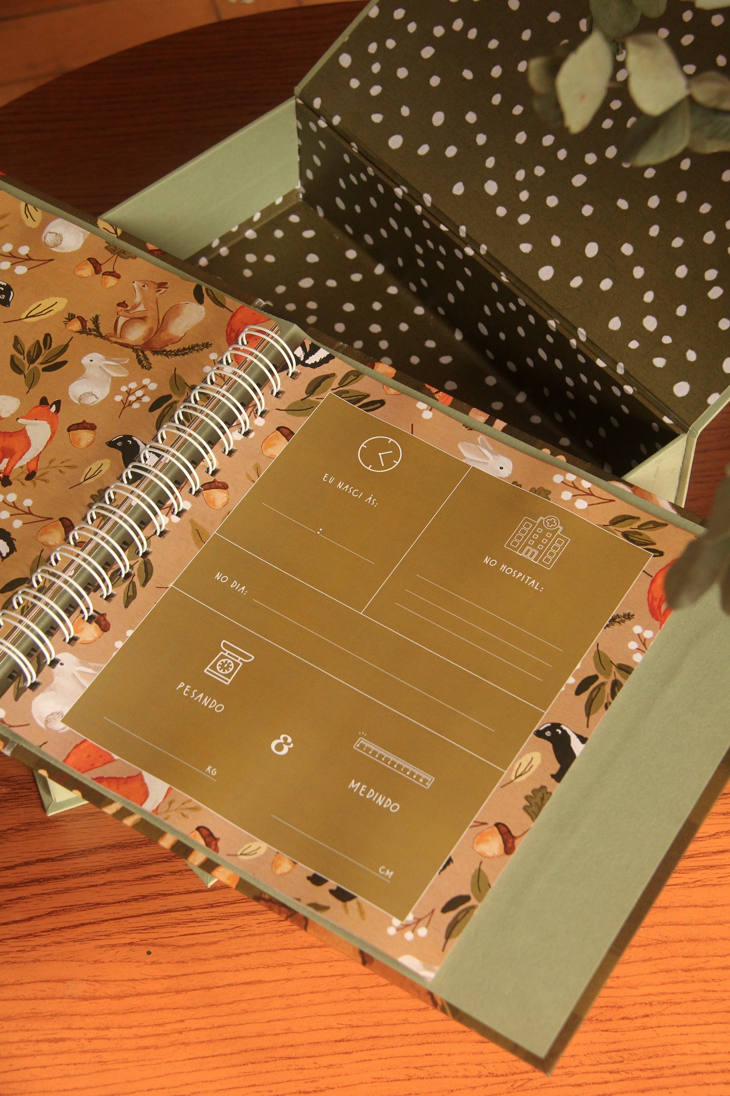 Livro do Bebê | Bosque