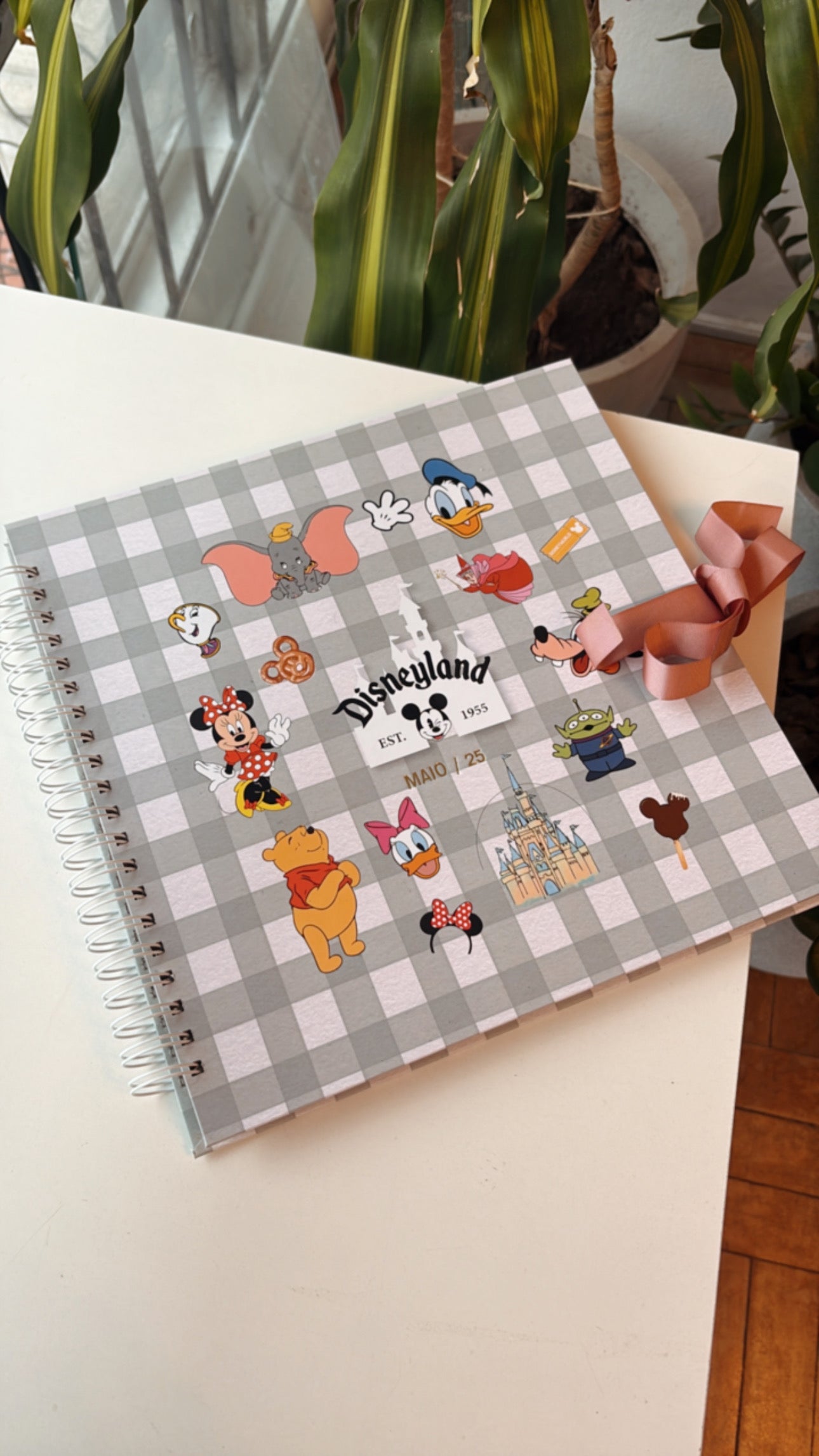 Scrapbook - Álbum de Fotos Disney