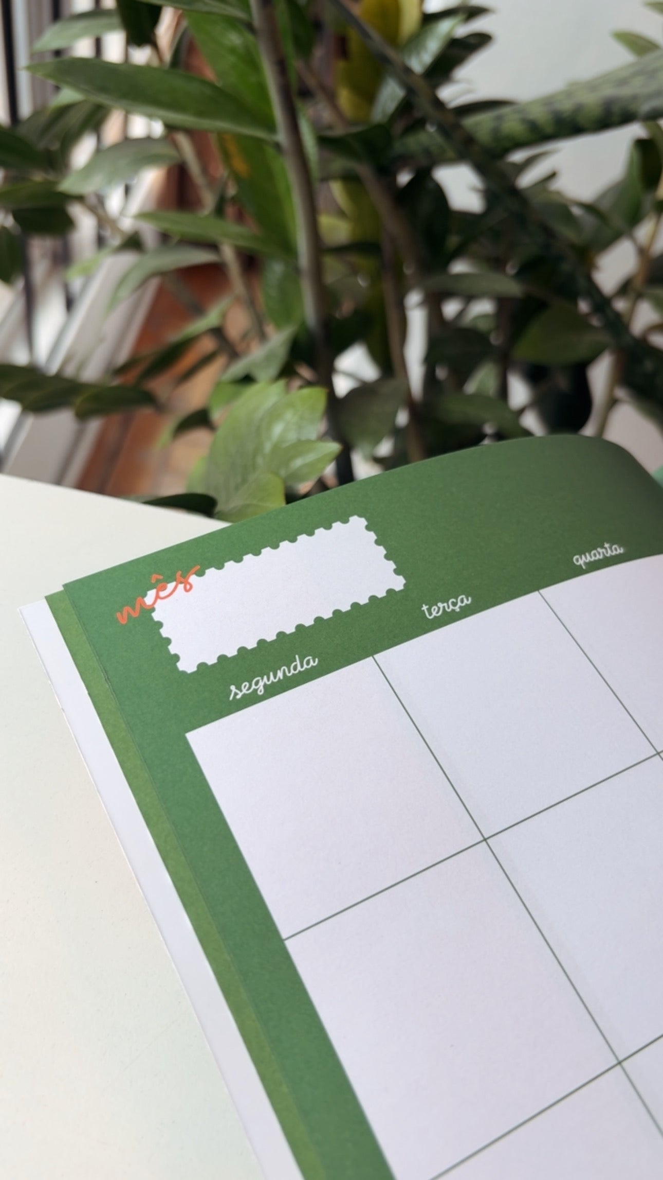 Planner Mensal | Bloom Paris – Visão Clara & Organização Leve