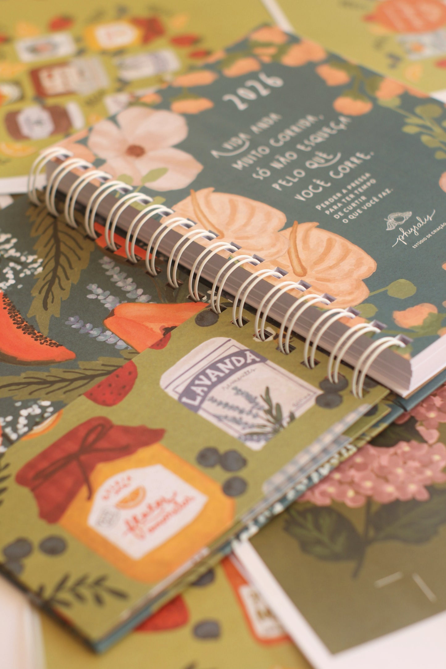 Agenda 2026 | Refúgio Botânico