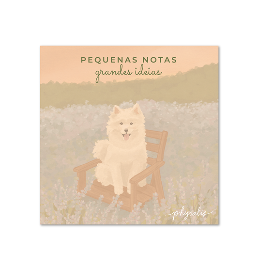 Pequenas Notas | Jardim da cAUmaria