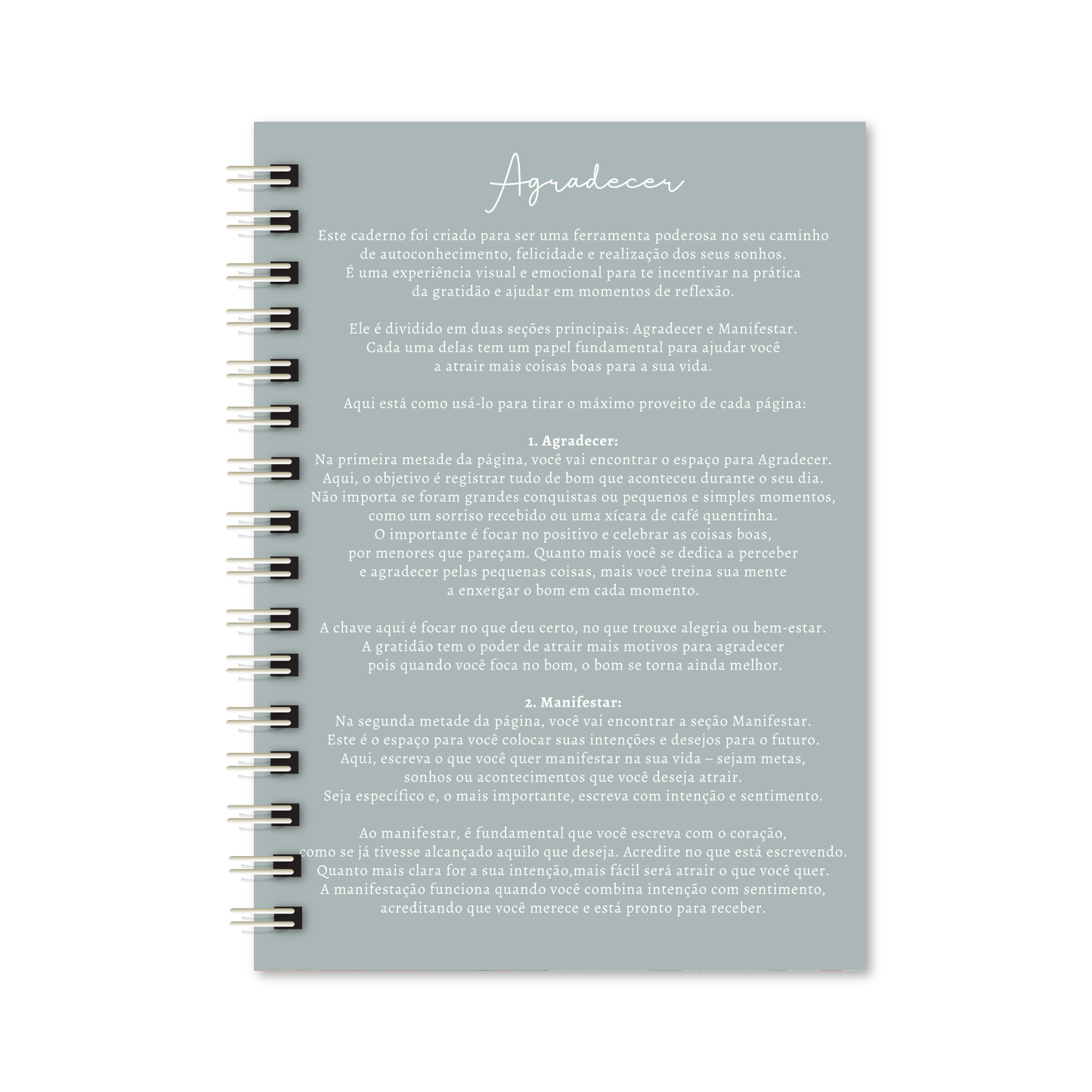 Agradecer | Nosso Diário da Gratidão