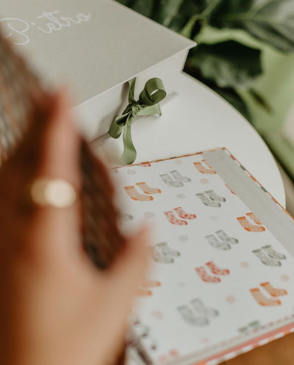 {Receba em fevereiro/2026} Livro do Bebê | Xadrez