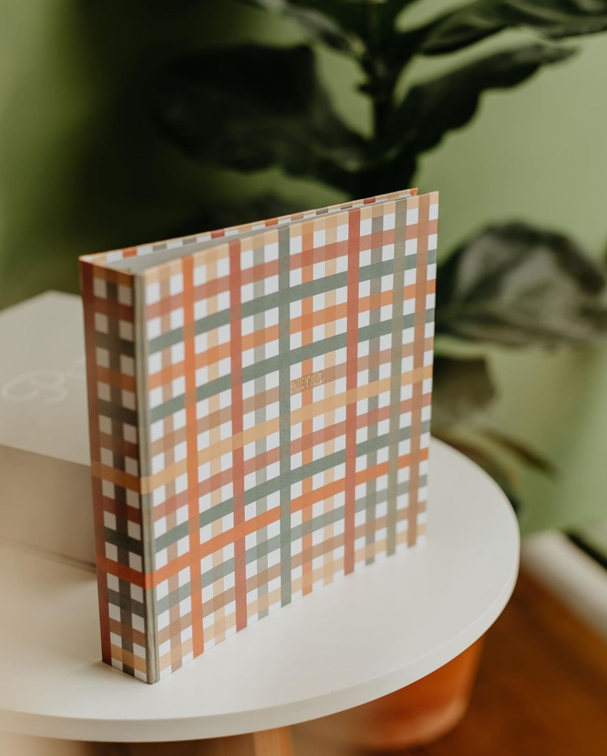 {Receba em fevereiro/2026} Livro do Bebê | Xadrez