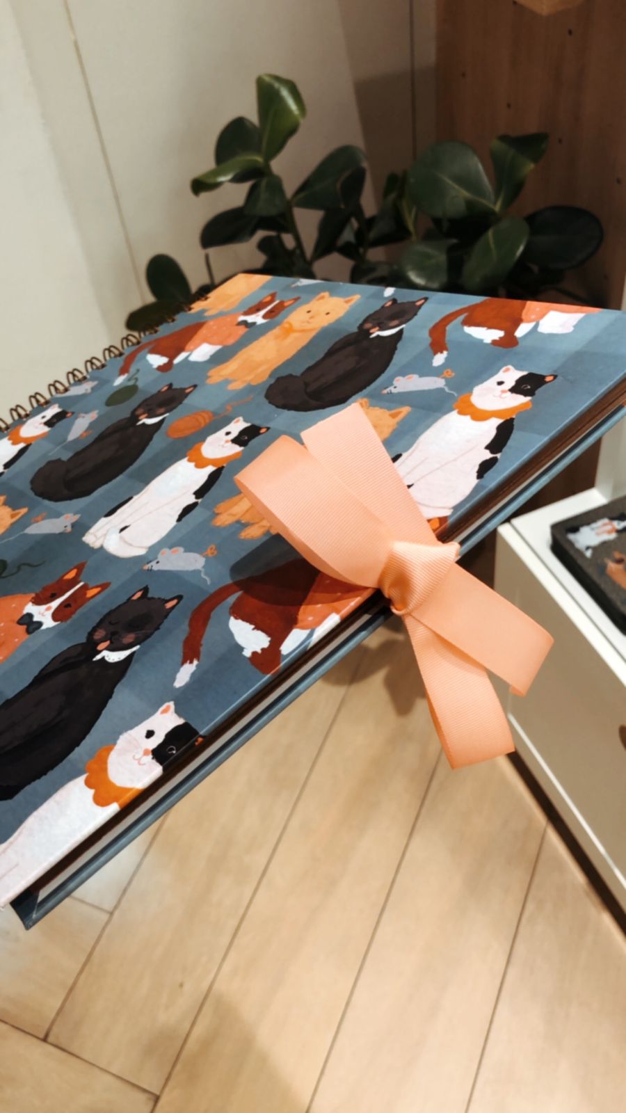 Scrapbook - Álbum de Fotos Gato Fofo