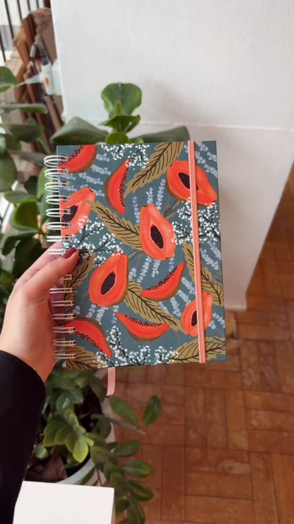 Agenda 2026 | Sombra e Papaia