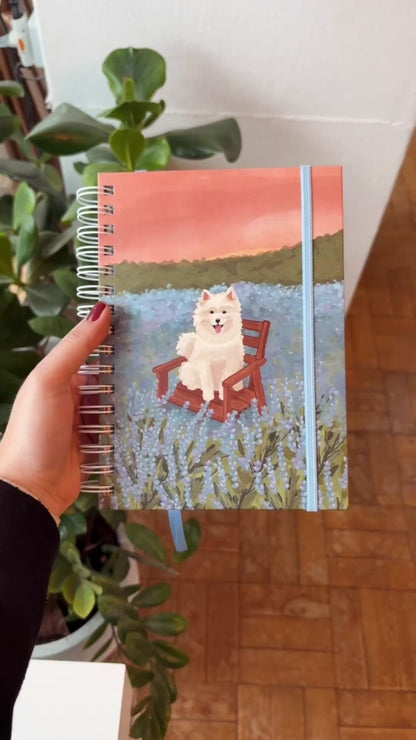 Agenda 2026 | Jardim da cAUmaria