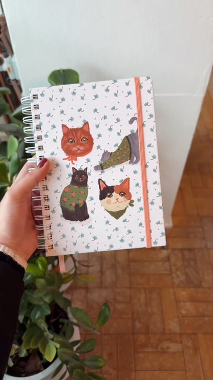 Agenda 2026 | Lar dos Gatinhos