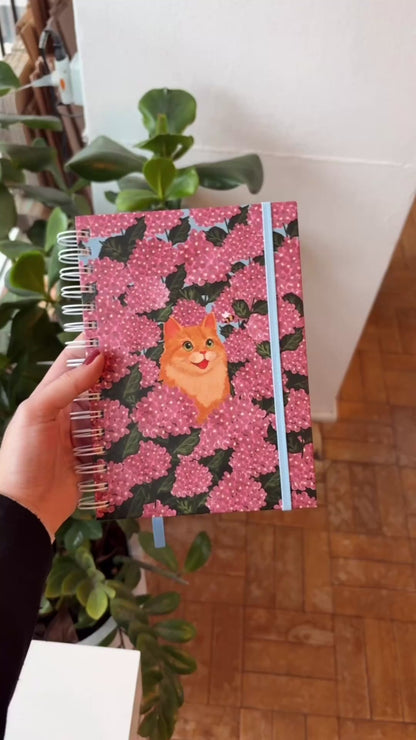 Agenda 2026 | Hortênsias e Ronron