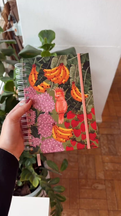 Agenda 2026 | Verão Alegre