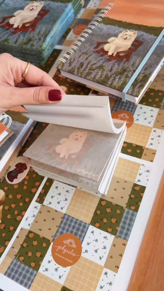 Pequenas Notas | Jardim da cAUmaria